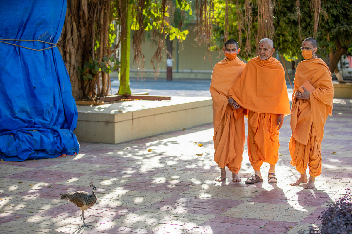 Swamishri in the Shativan grounds
