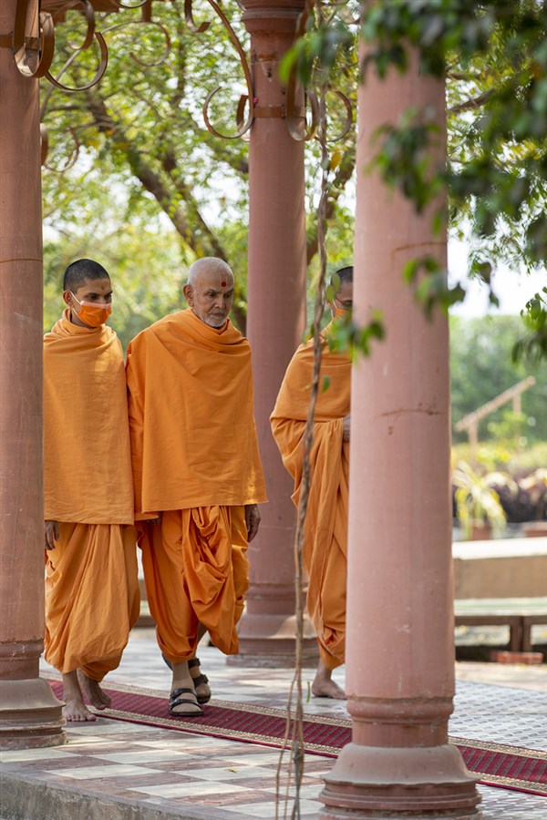 Swamishri during his walk