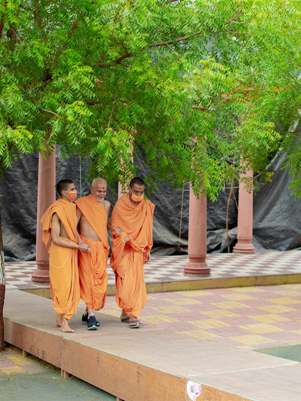 Swamishri after his evening walk