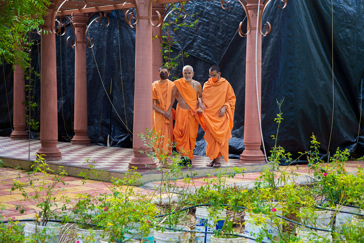 Swamishri observes the plants in Shantivan