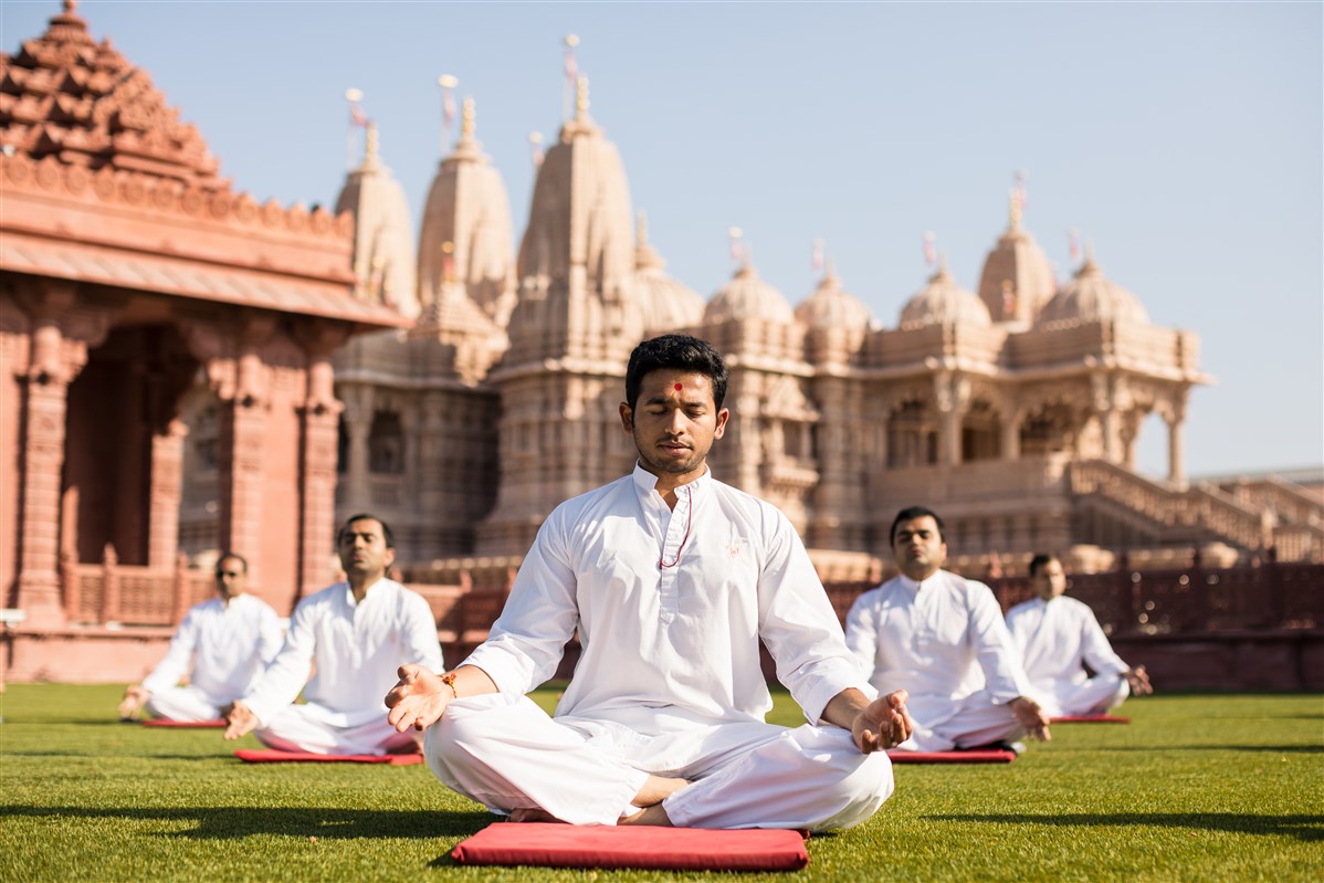 International Yoga Day Celebration