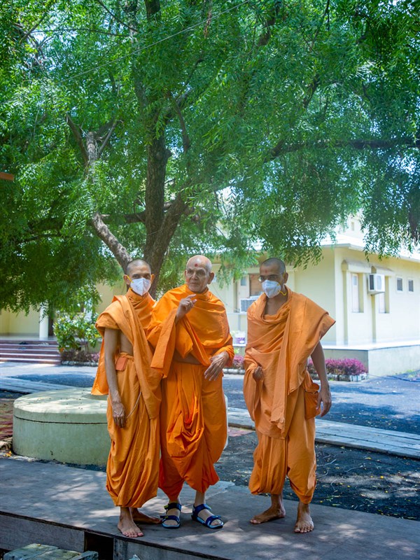 Swamishri on his way for the afternoon assembly