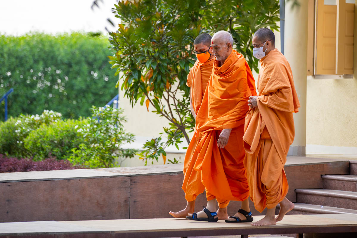 Swamishri arrives for his walk in the morning