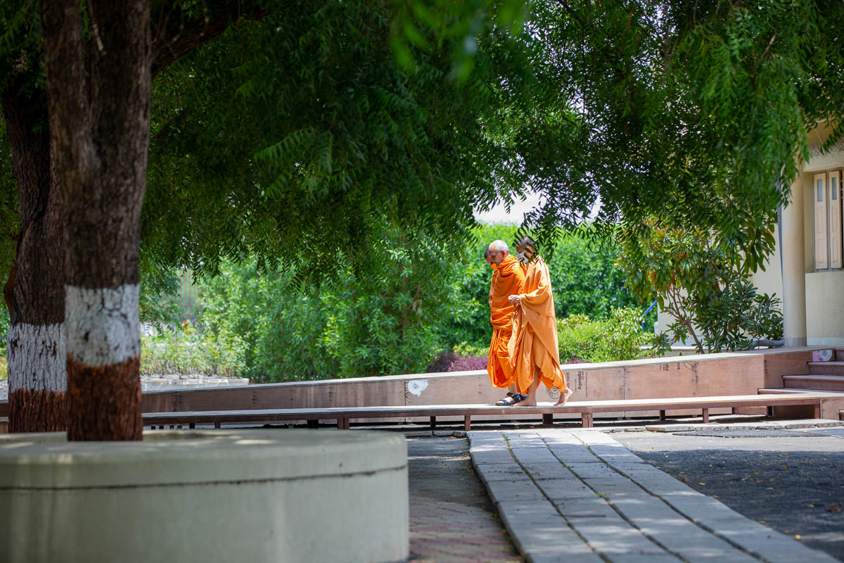 Swamishri on his way for the afternoon assembly
