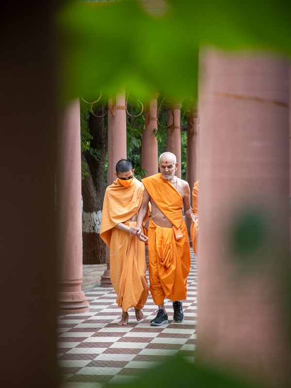 Swamishri during his walk 