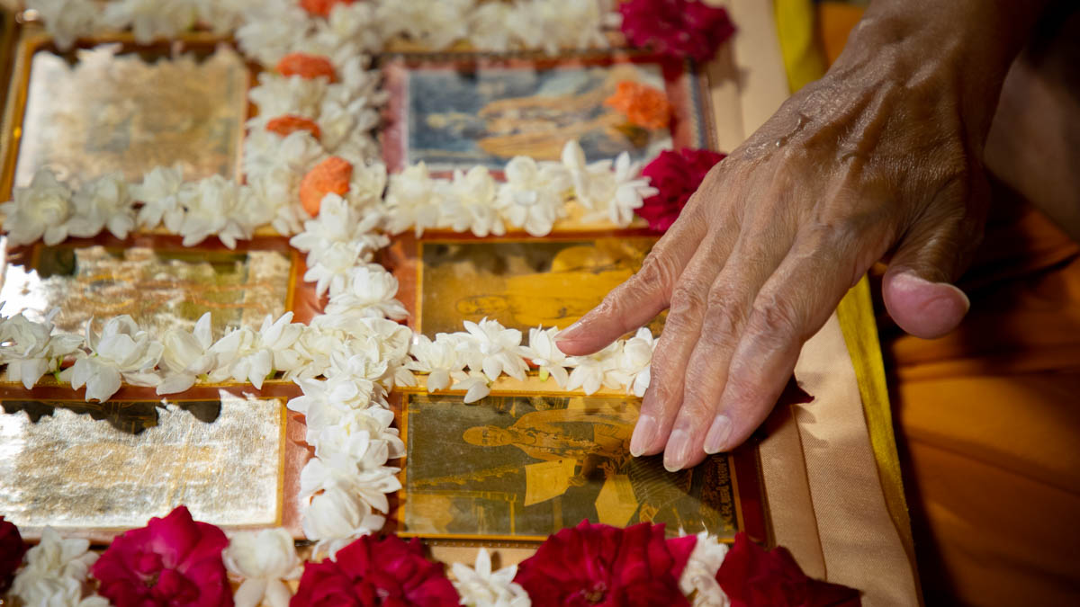 Swamishri engrossed in darshan of Brahmaswarup Shastriji Maharaj