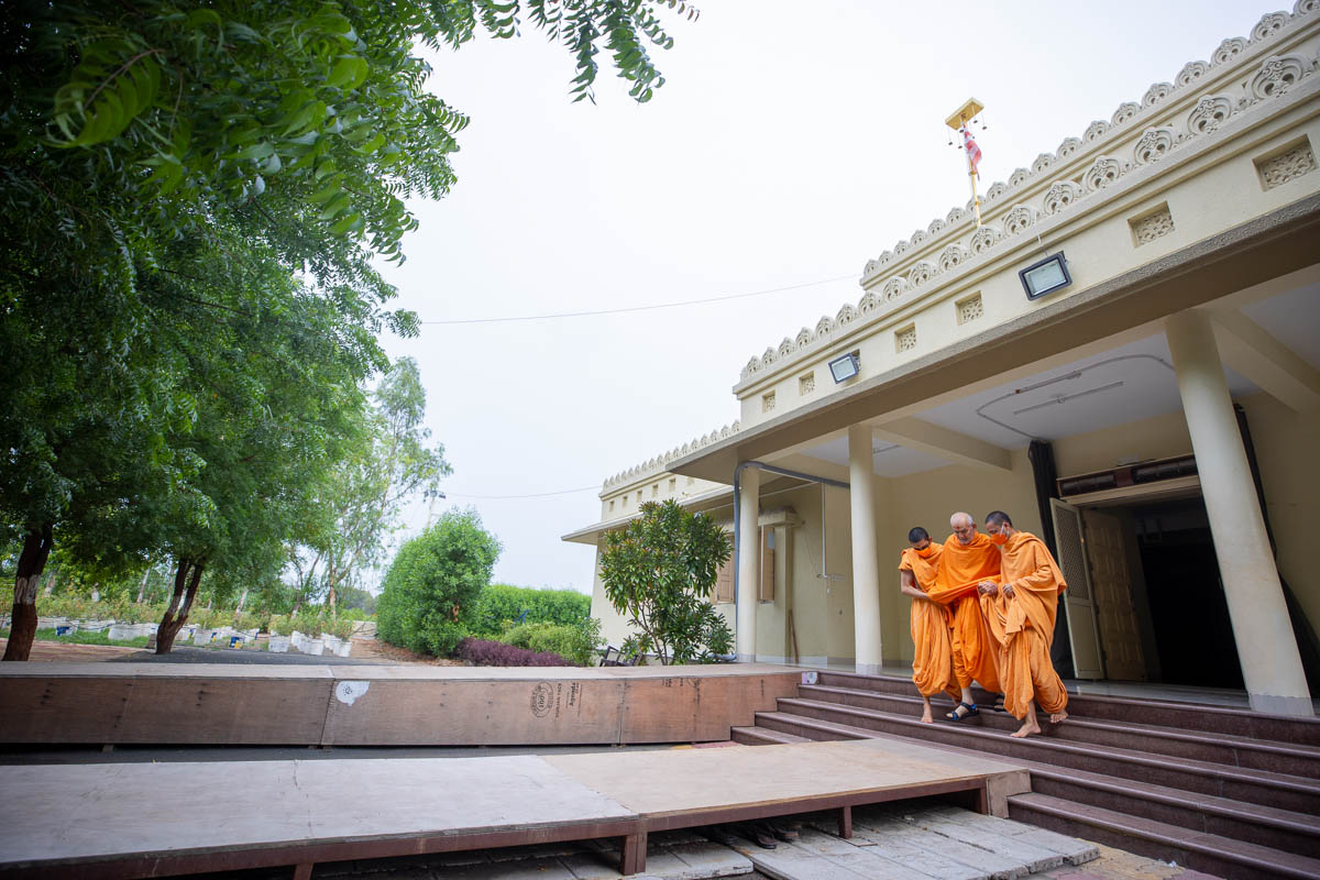 Swamishri arrives in the Shantivan grounds