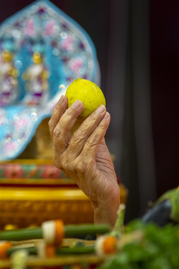 Swamishri sanctifies a lemon