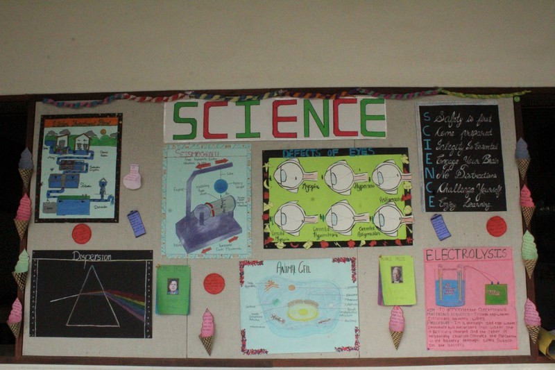 Decoration of softboards by students of SVMR