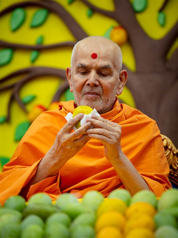 Swamishri observes a mango
