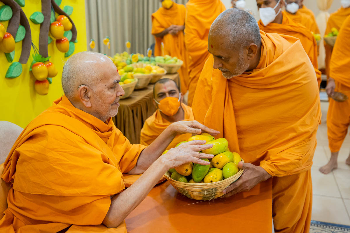 Swamishri sanctifies mangoes