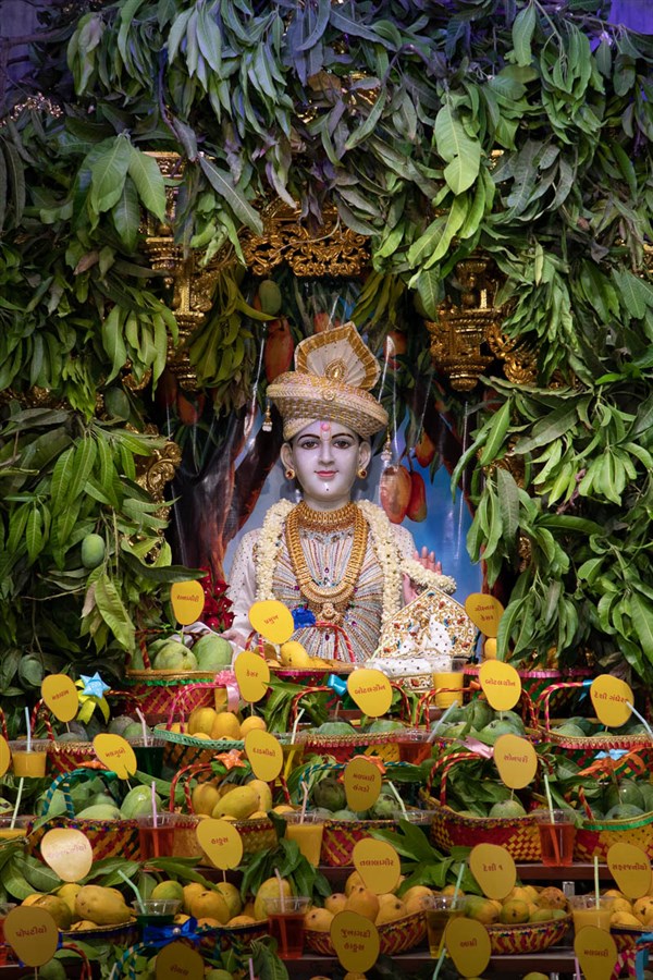 Annakut of mangoes offered to Shri Ghanshyam Maharaj