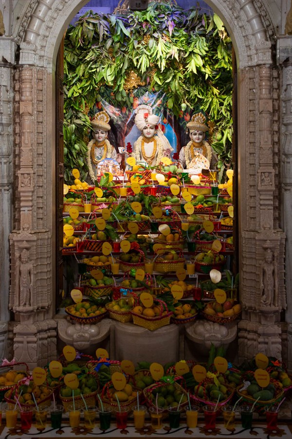 Annakut of mangoes offered to Bhagwan Swaminarayan, Aksharbrahma Gunatitanand Swami and Shri Gopalanand Swami