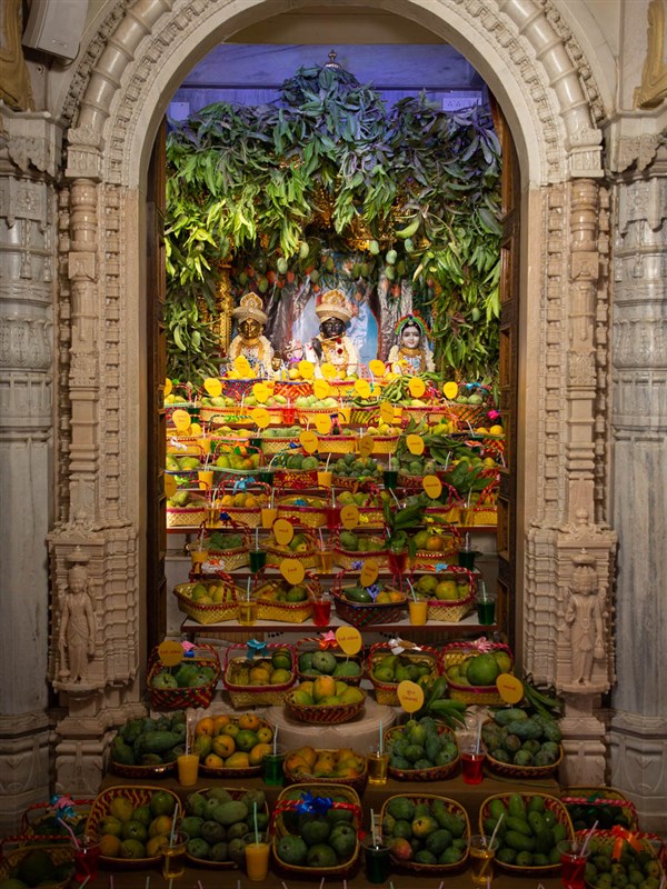 Annakut of mangoes offered to Shri Harikrishna Maharaj and Shri Radha-Krishna Dev