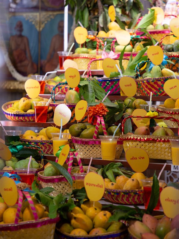 Annakut of mangoes offered to Thakorji