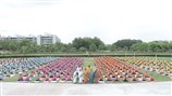 International Yoga Day Celebration at SVMR
