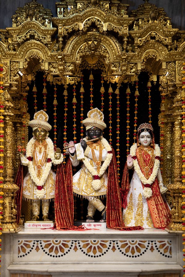 Shri Harikrishna Maharaj and Shri Radha-Krishna Dev