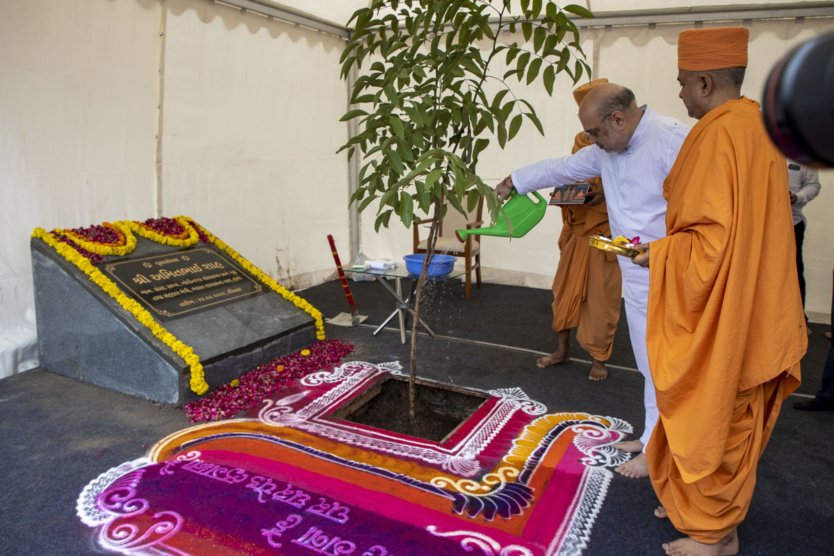 Shri Amitbhai Shah plants a tree