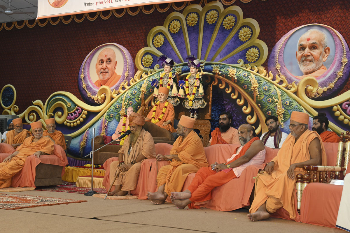 Acharya Mandaleshwar Swami Vishokanand Bhartiji Maharaj, Shri Panchayati Akhada Mahanirwanina Pithadhishwar