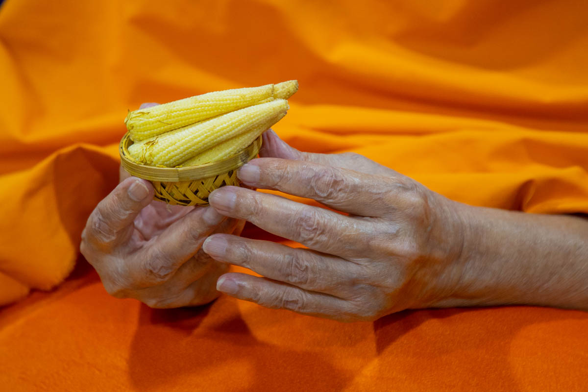 Swamishri sanctifies some baby corn