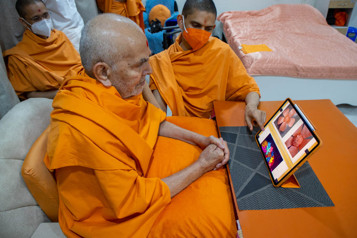 Swamishri observes a glow garden preparation for the 'Pramukh Swami Maharaj Centenary Celebrations'
