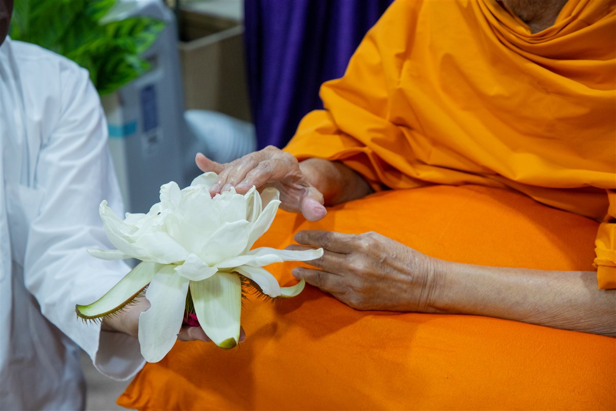 Swamishri sanctifies a flower
