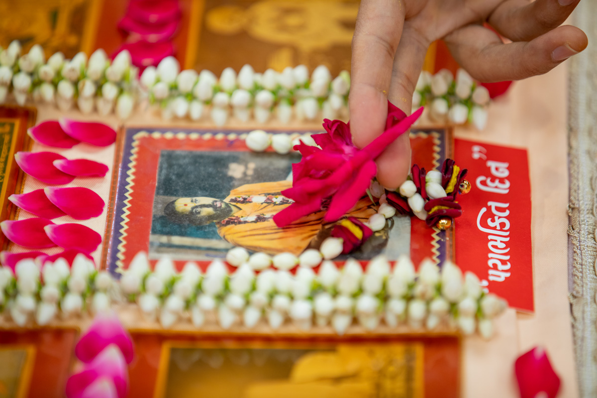 A flower is offered to Brahmaswarup Pramukh Swami Maharaj