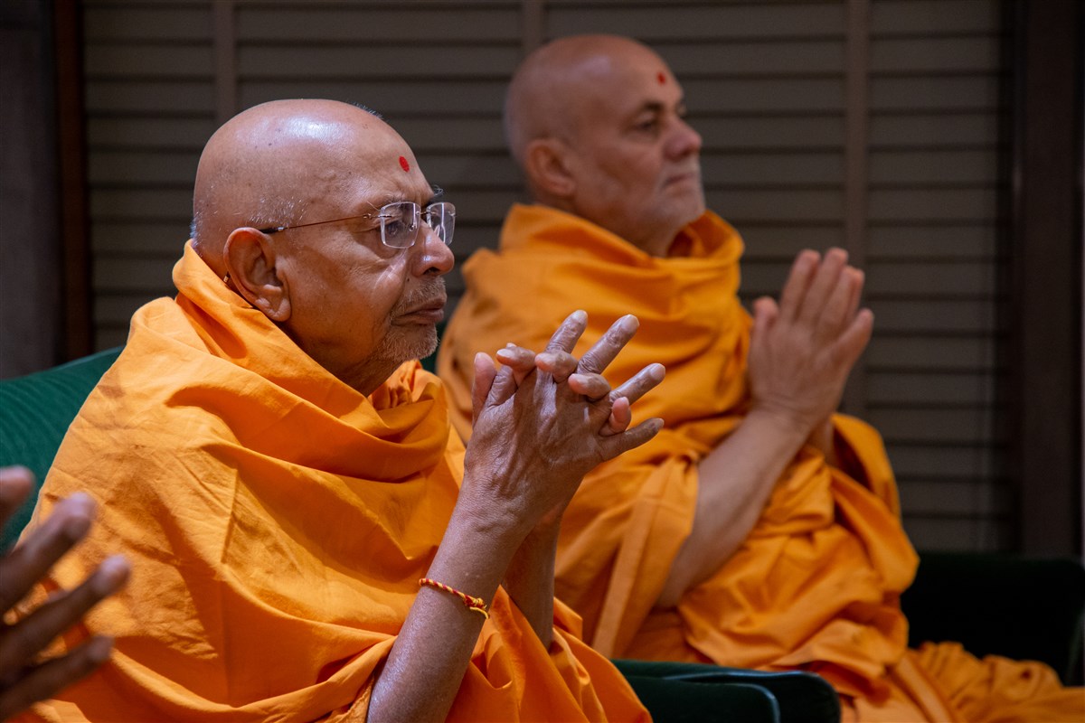 Pujya Tyagvallabh Swami and Pujya Viveksagar Swami doing darshan of Swamishri