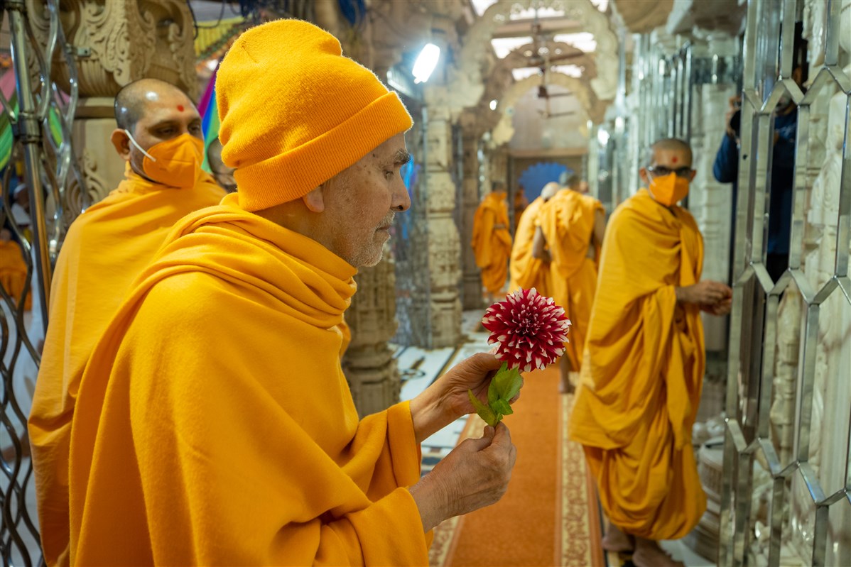 Swamishri observes a flower