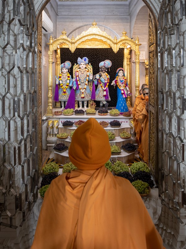 Swamishri engrossed in darshan of Shri Varninath Maharaj and Shri Gopinath Dev