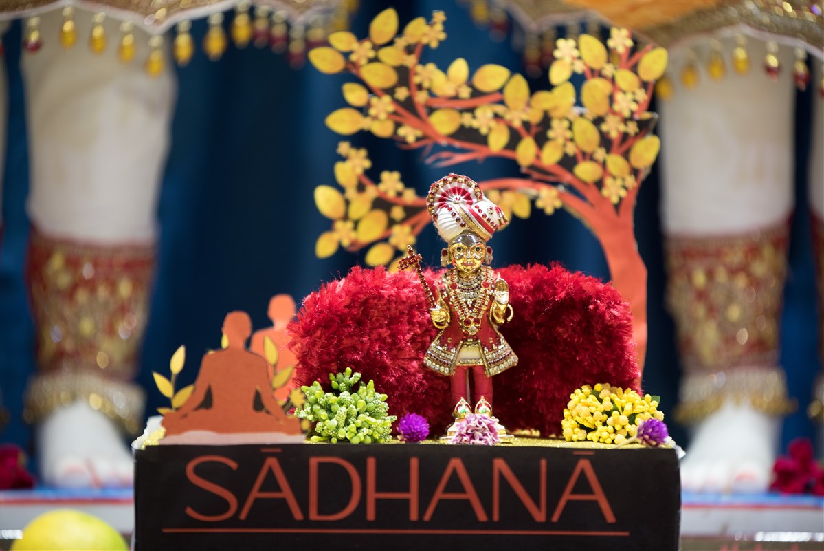 Satsang Shibir 2023: 'Sadhana', Brisbane