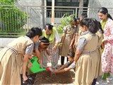Students watering plant after transplanting it in the soil.