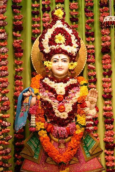 Bhagwan Shri Swaminarayan adorned with fresh flowers 	