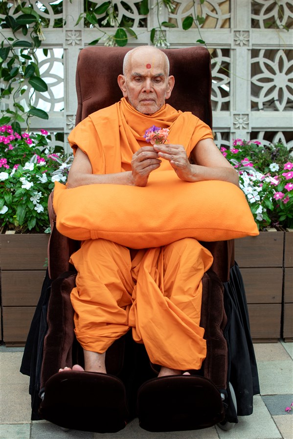 Swamishri gazes at a blossom