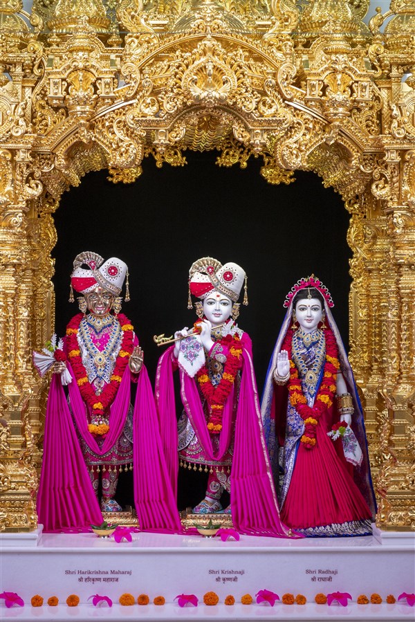Shri Harikrishna Maharaj and Shri Radha-Krishna Bhagwan
