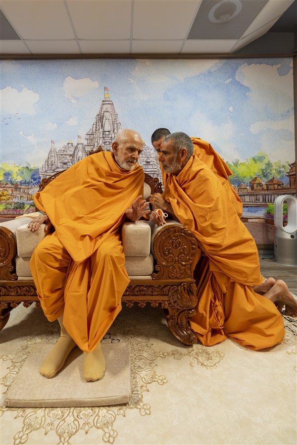 Pujya Anandswarupdas Swami in conversation with Swamishri