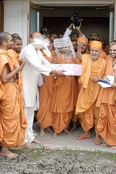  Swamishri releases a dove at the conclusion of the World Peace Prayer 