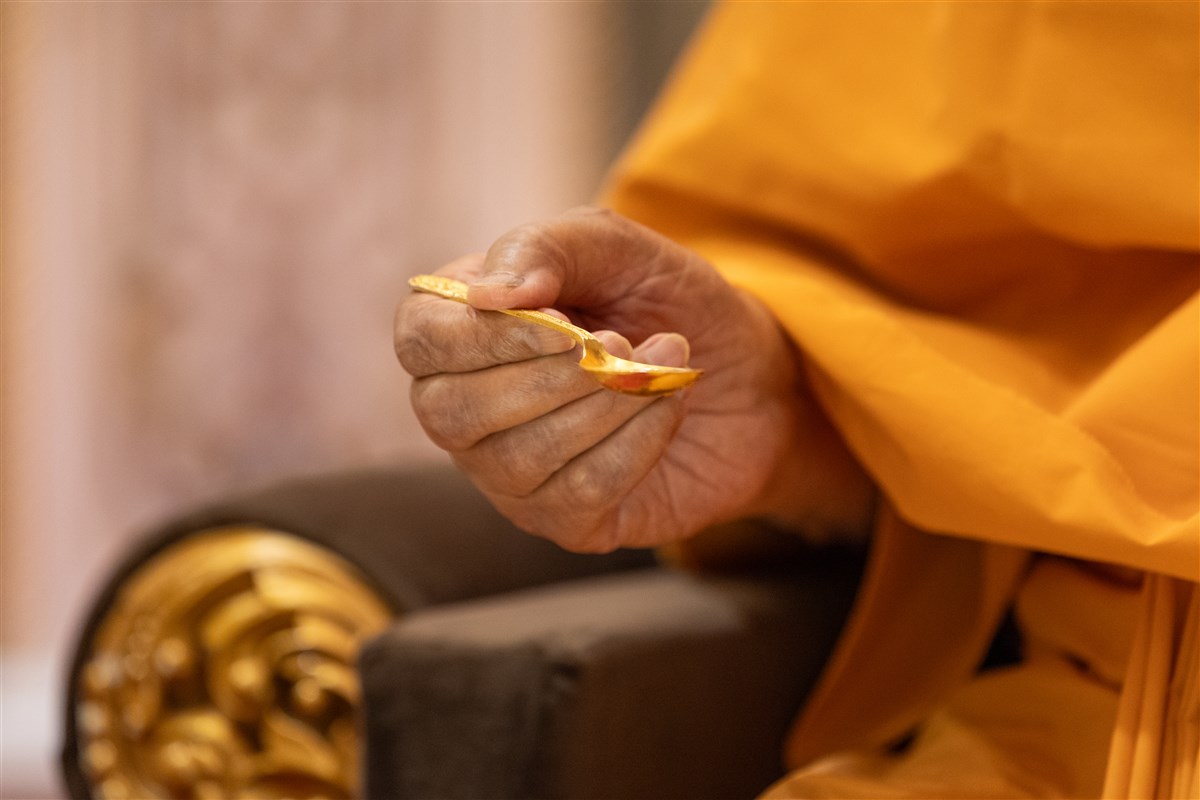 Swamishri performs mahapuja rituals