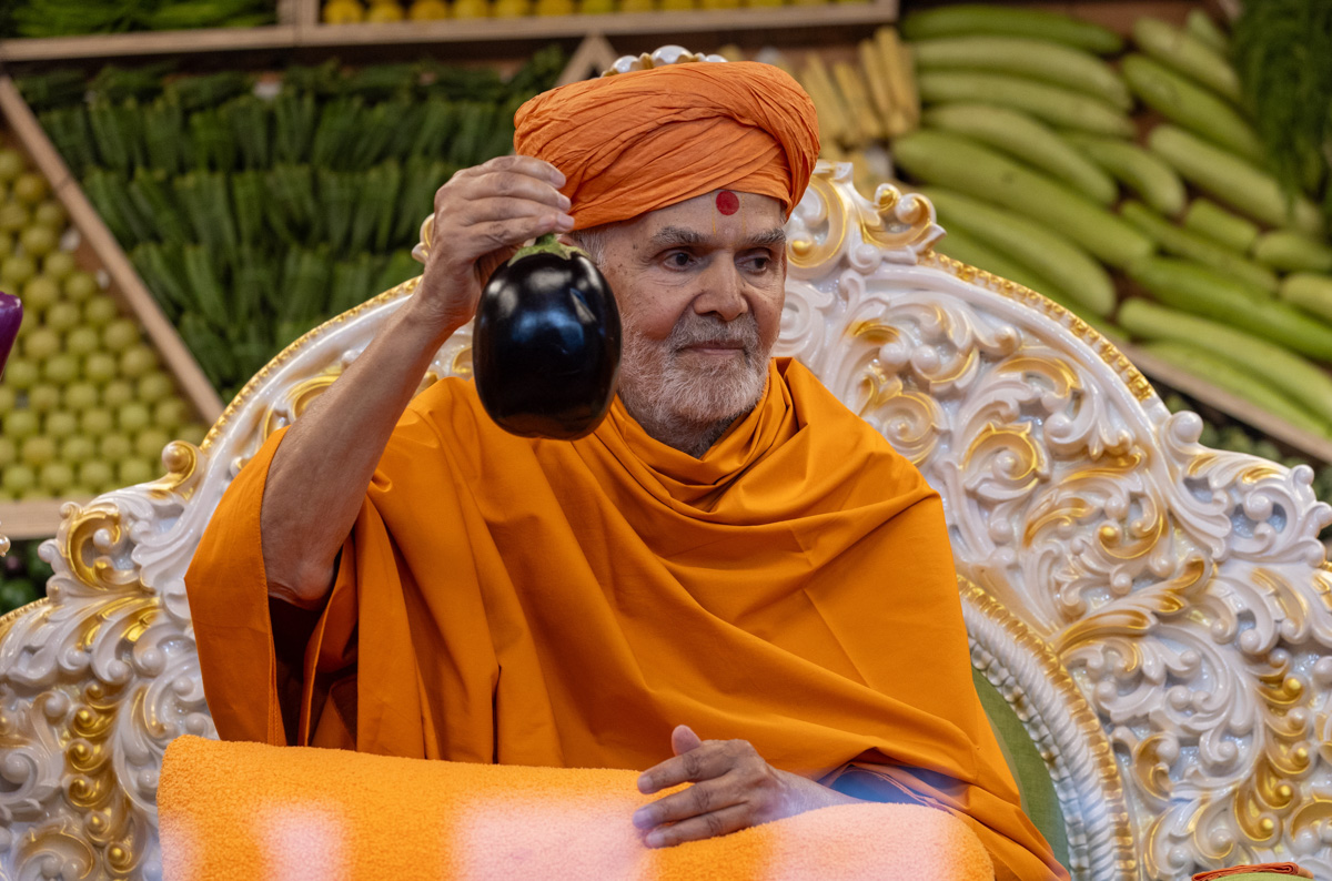 Swamishri sanctifies an eggplant (ringan)