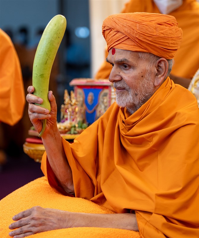Swamishri sanctifies a bottle gourd (dudhi)