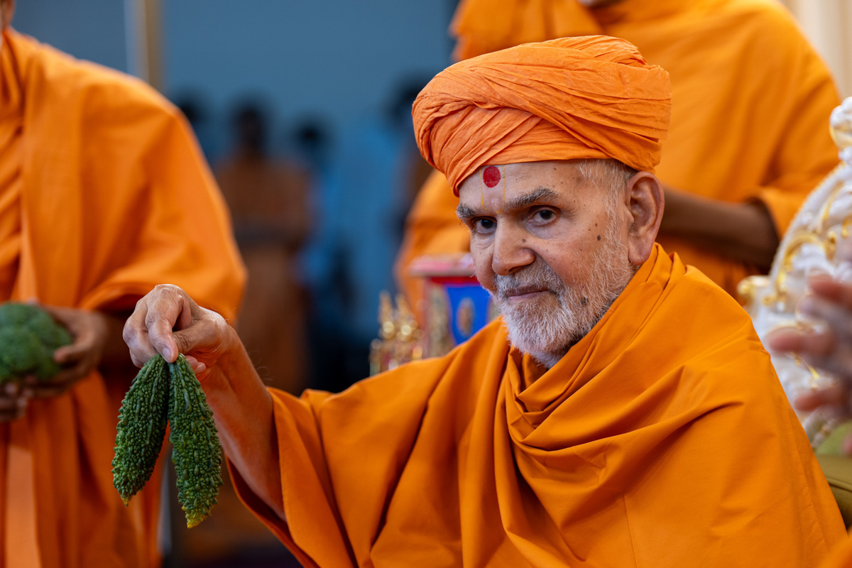 Swamishri sanctifies bitter gourds (karela)