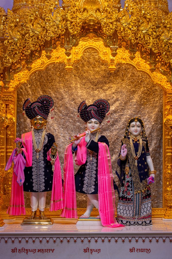 Shri Harikrishna Maharaj, and Shri Krishna Bhagwan and Radhaji