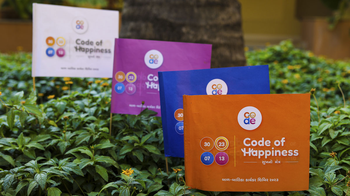 Code of Happiness flags