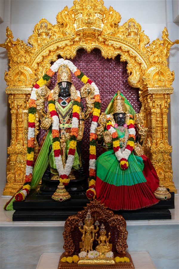 Bhagwan Shri Shrinivas and Shri Padmavatiji