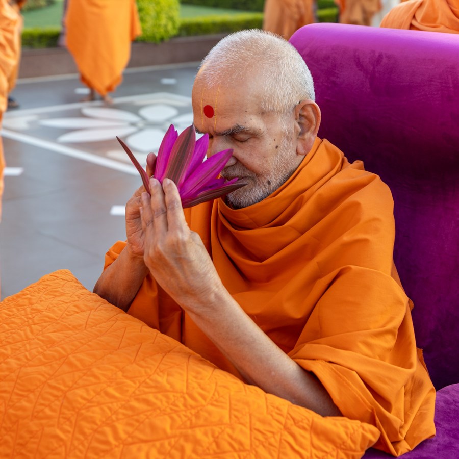 Swamishri sanctifies a lotus flower