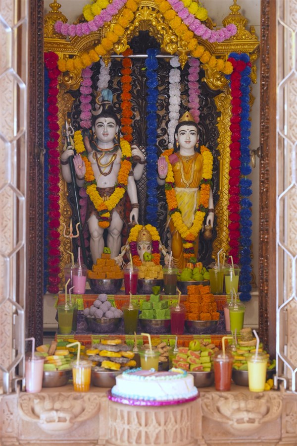Diwali & Annakut Celebrations 2024, Sankari