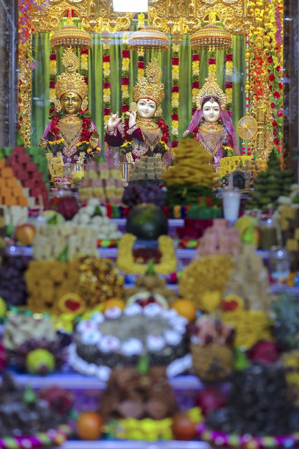 Diwali & Annakut Celebrations 2024, Navsari