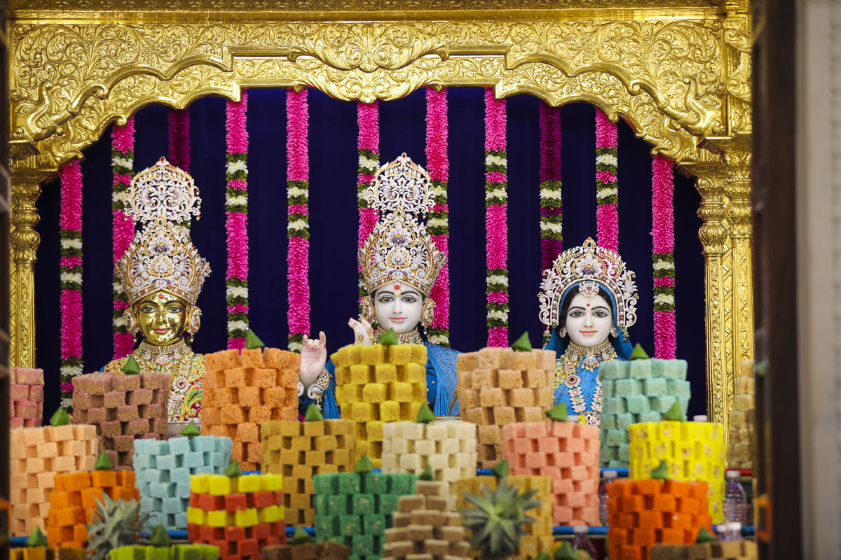 Diwali & Annakut Celebrations 2024, Rajkot