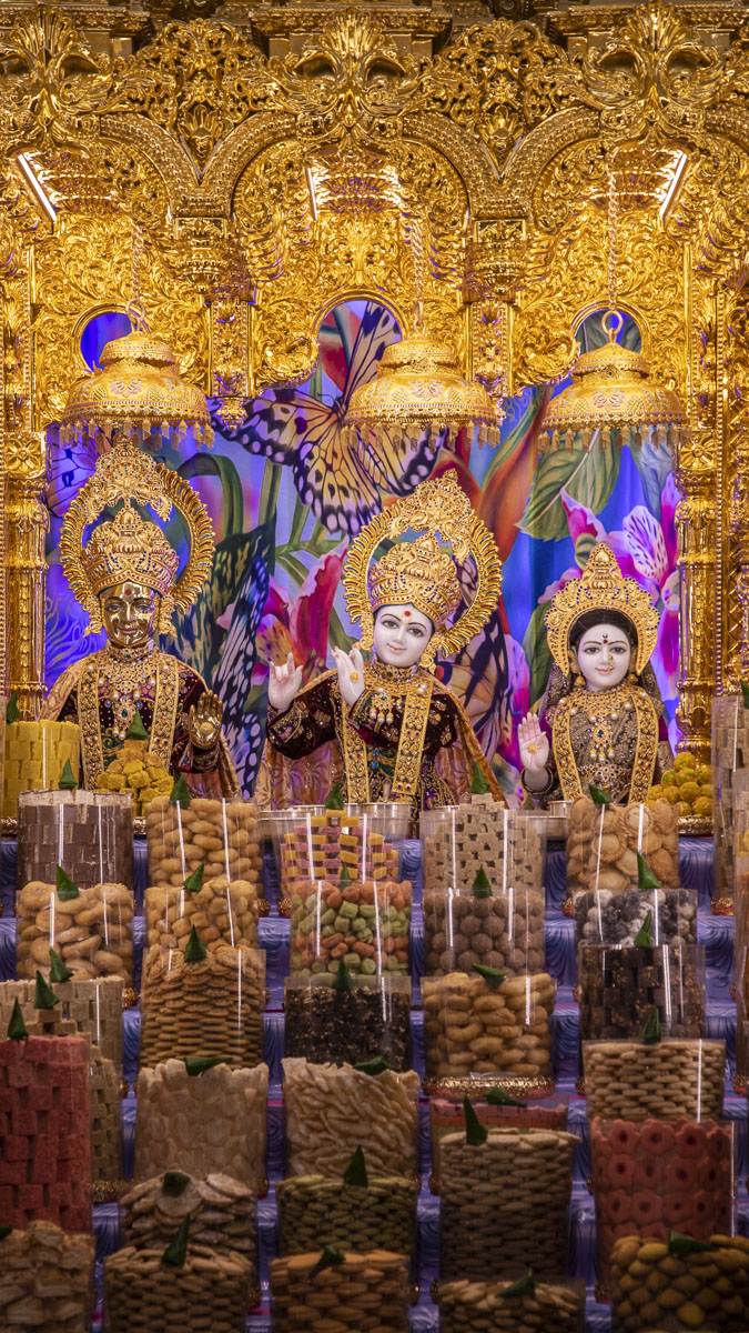 Diwali & Annakut Celebrations 2024, Nashik