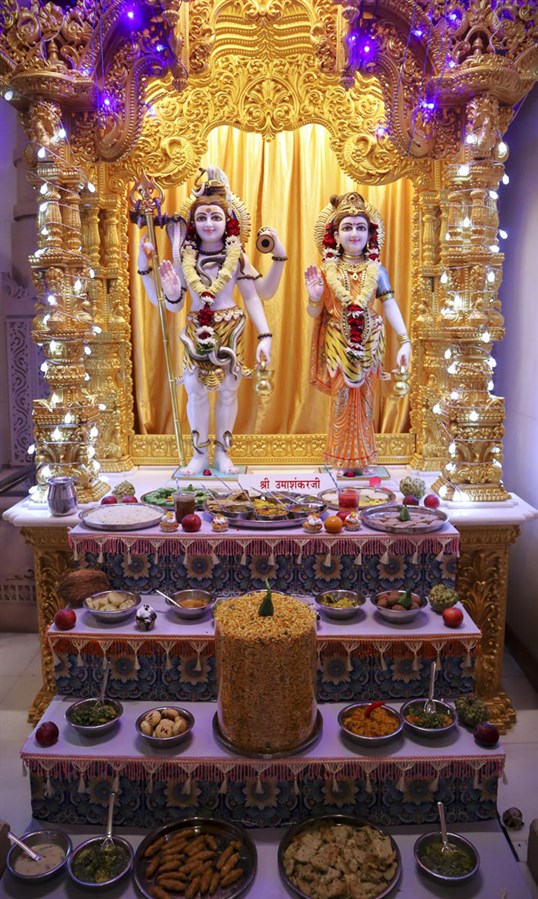Diwali & Annakut Celebrations 2024, Dhule